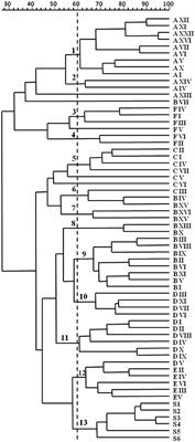 Quantifying the Effects of Ethanol and Temperature on the Fitness Advantage of Predominant Saccharomyces cerevisiae Strains Occurring in Spontaneous Wine Fermentations